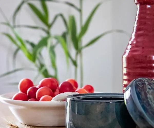 Apartment Yianna Sunny Studios