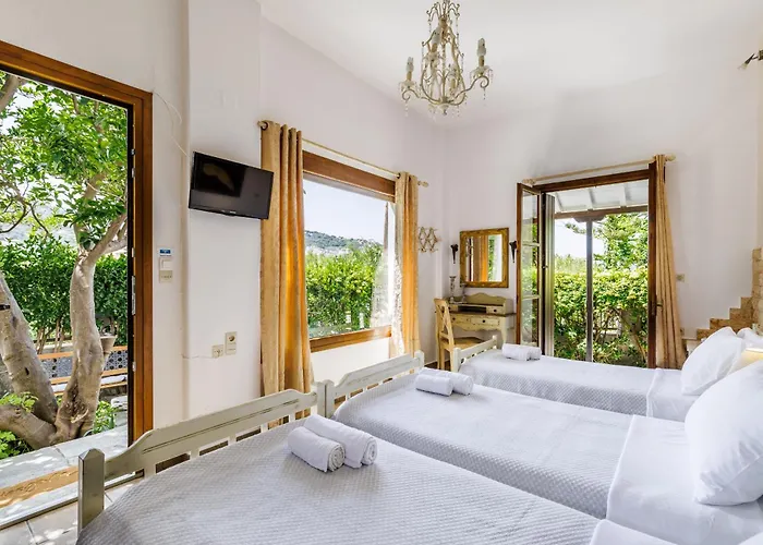 Yianna Sunny Studios