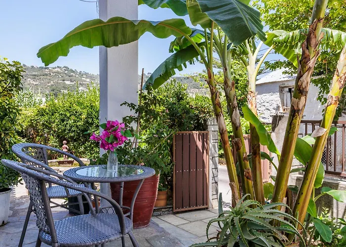 Yianna Sunny Studios *